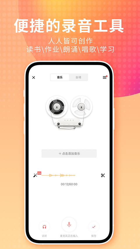 趴在窗台凝视飞鸟的布偶猫壁纸