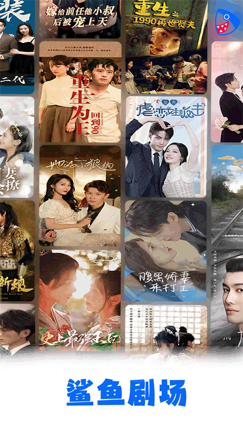 趴在薰衣草田边的孟买猫凝视镜头壁纸